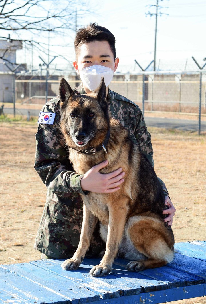 [부산=뉴시스] 공군 제5공중기동비행단 군사경찰대대 군견소대 소속 전담군견관리병(핸들러)인 김기태 병장과 군견 '레다'(암컷·셰퍼트·10살). (사진=공군 제공) *재판매 및 DB 금지