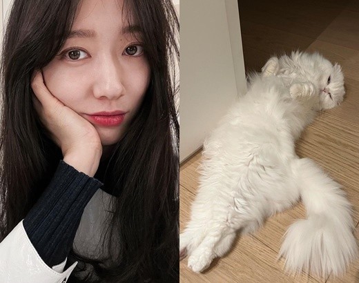 [서울=뉴시스] 박신혜 2021.12.17 (사진=박신혜 인스타그램)photo@newsis.com* *재판매 및 DB 금지