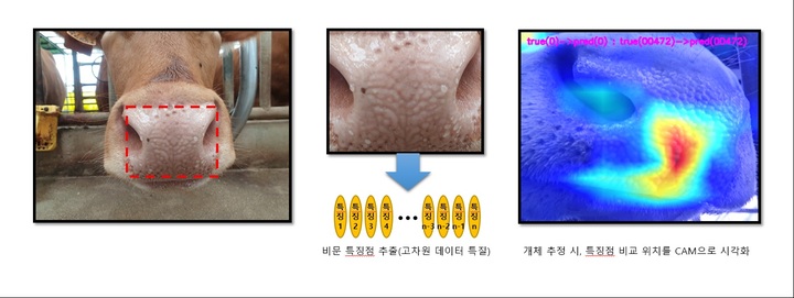 소 개체식별 데이터 구축 시스템 *재판매 및 DB 금지