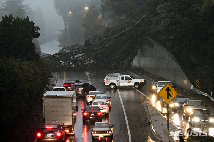 [오클랜드=AP/뉴시스] 23일(현지시간) 미 캘리포니아주 오클랜드 13번 고속도로에 폭우로 길이 약 30m의 유칼립투스 나무가 쓰러져 도로를 막고 있다. 캘리포니아 당국은 밤새 내린 폭우로 차량에 탑승했던 2명이 물에 휩쓸려 숨졌다고 밝히며 산사태 우려가 있는 산악 지역 주민들에게 대피를 권고했다. 2021.12.24.
