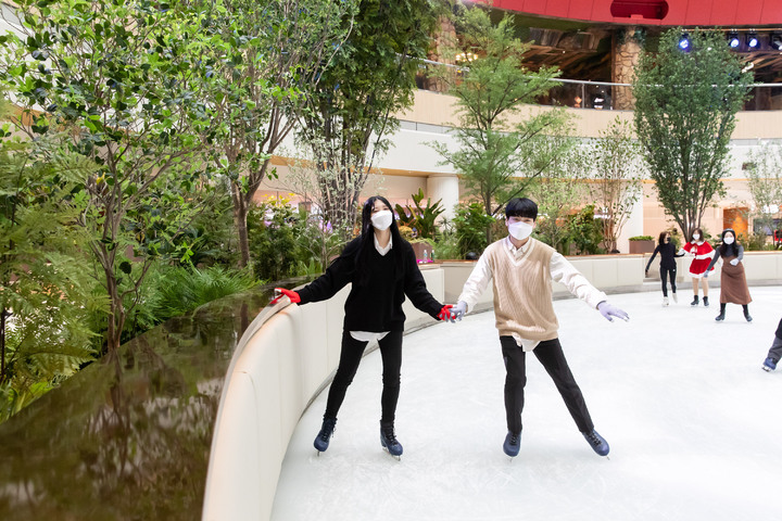 롯데월드 어드벤처 '아이스링크' *재판매 및 DB 금지