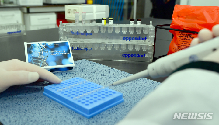 [광주=뉴시스] 류형근 기자 = 29일 오후 광주 서구 광주시보건환경연구원 분자생물학방에서 연구원들이 오미크론 등 코로나19 변이 바이러스 신속 확인용 시약을 이용해 검사를 수행하고 있다. 2021.12.29. hgryu77@newsis.com