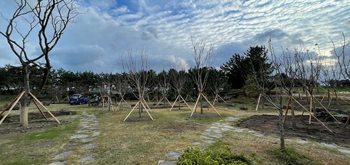 [제주=뉴시스] 제주시 도시바람길숲. (사진=제주시 제공) 2021.12.31. photo@newsis.com *재판매 및 DB 금지