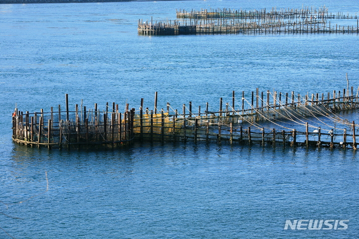 "죽방멸치 한번 맛보면 중독" 남해죽방어업 세계중요농업유산 등재 선정