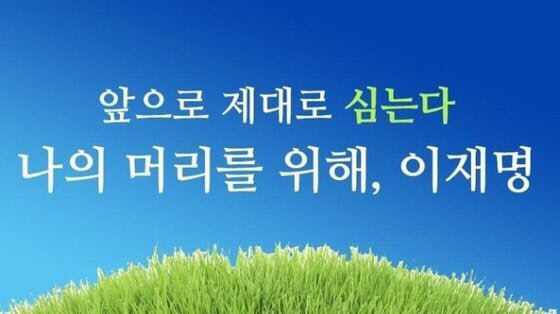 (사진 캡쳐 = 디시인사이드 탈모갤러리) *재판매 및 DB 금지