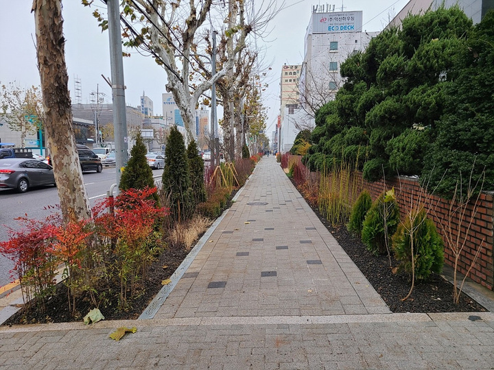 [서울=뉴시스] 서울 양천구는 갈산초등학교와 양원초등학교 통학로 주변에 1500㎡ 규모의 자녀안심그린숲 조성사업을 완료했다고 5일 밝혔다. 사진은 양원초등학교 인근 조성된 자녀안심그린숲 모습. (사진=양천구 제공) 2021.01.05. photo@newsis.com *재판매 및 DB 금지