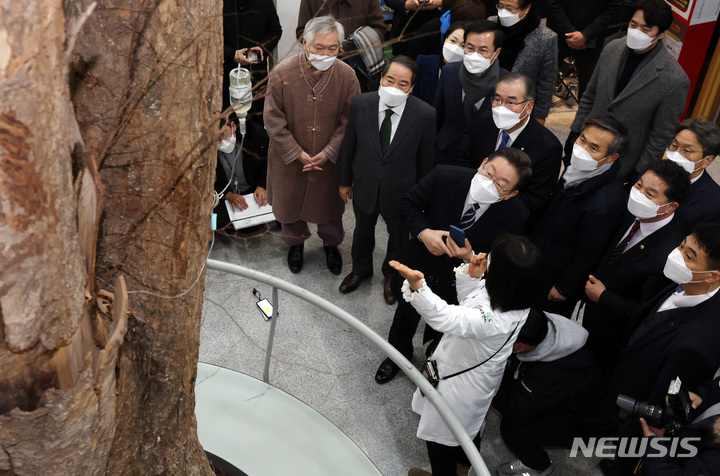 [담양=뉴시스] 최동준 기자 = 이재명 더불어민주당 대선후보가 5일 전남 에코센터 호남기후변화체험관을 방문해 지난2012년 태풍 '볼라벤'에 피해를 입은 200년된 느티나무 보호수를 살펴보고 있다. (공동취재사진) 2022.01.05. photo@newsis.com