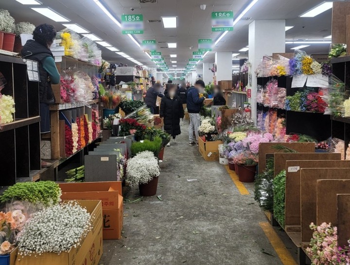 [서울=뉴시스] 윤현성 수습기자=최근 꽃값이 폭등하면서 꽃집 사장들 사이에선 꽃을 구하기가 어렵다는 목소리가 나온다. 지난 7일 방문한 양재 꽃시장 모습. 2022.01.09. photo@newsis.com *재판매 및 DB 금지
