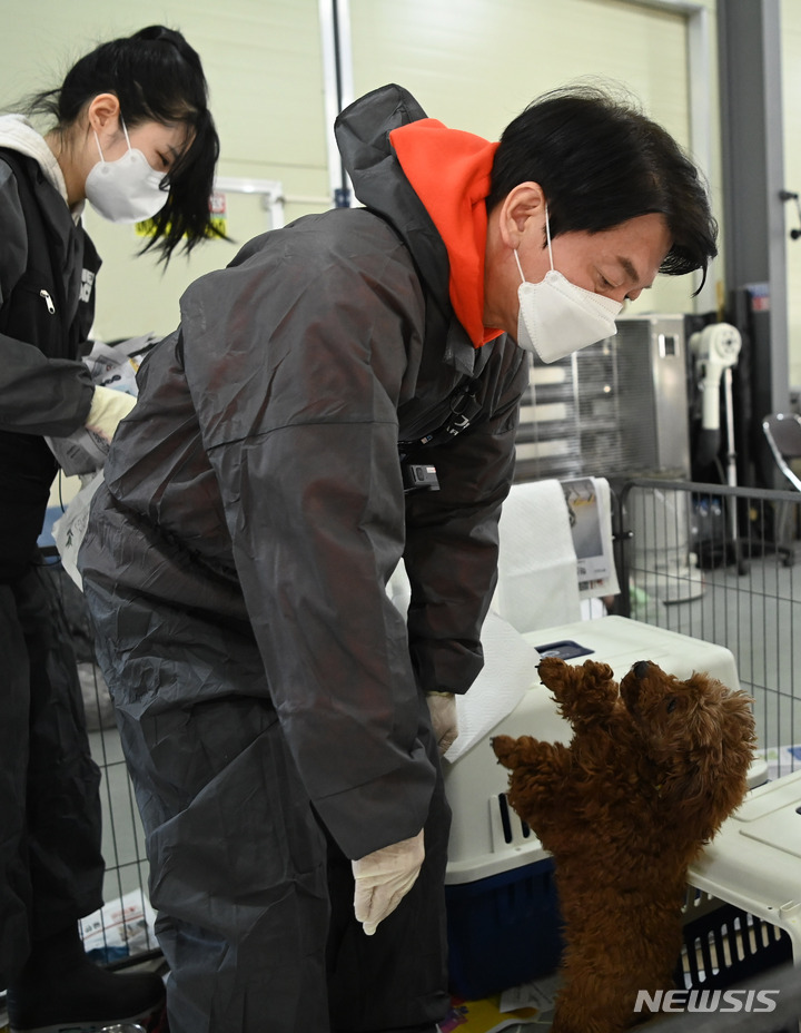 [남양주=뉴시스] 국회사진기자단 = 안철수 국민의당 대선후보가 7일 오전 동물보호단체 위액트 남양주 대피소에서 봉사활동을 하고 있다. 2022.01.07. photo@newsis.com