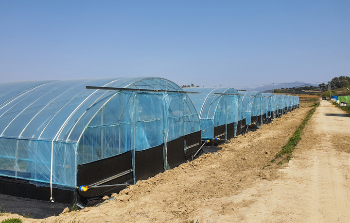  *재판매 및 DB 금지