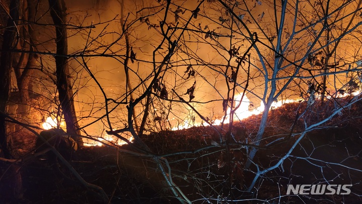 [이천=뉴시스] 경기 이천시 설봉산 불. 2022.1.10. (사진=이천시 제공)