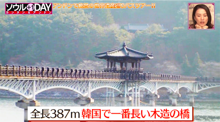 TV도쿄에 소개된 안동 월영교 (사진=안동시 제공)@newsis.com *재판매 및 DB 금지