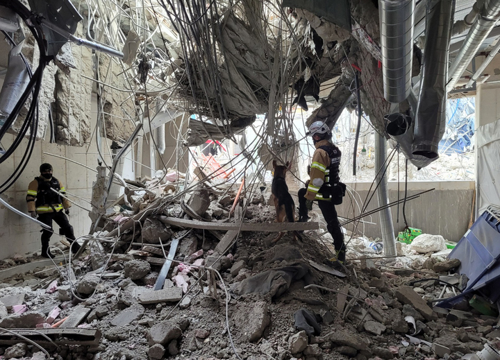 [서울=뉴시스] 14일 소방당국이 광주 서구 화정동 현대아이파크 외벽 붕괴 사고 현장에서 구조견과 함께 실종자를 수색하고 있다. (사진=소방청 제공) 2022.01.14. photo@newsis.com *재판매 및 DB 금지