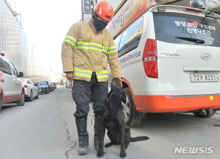 [광주=뉴시스] 김혜인 기자 = 14일 오후 광주 서구 신축아파트 붕괴현장에서 실종자 1명을 처음 발견한 인명구조견 소백이와 소백이 핸들러가 나란이 서 있다. 2022.01.14.hyein0342@newsis.com