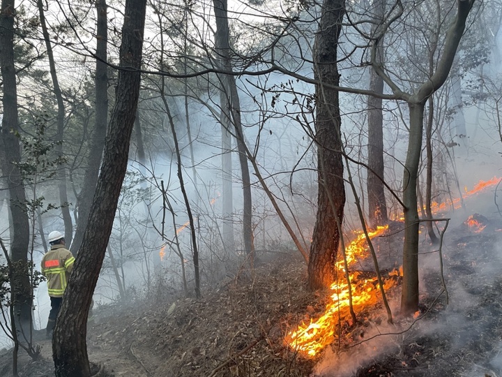 [부산=뉴시스] 16일 오전 부산 영도구의 한 사찰에서 원인이 밝혀지지 않은 불이 나 목조건물인 대웅전을 모두 태우고 인근 봉래산으로 번지고 있다. 2022.01.16. (사진=부산소방재난본부 제공). photo@newsis.com *재판매 및 DB 금지