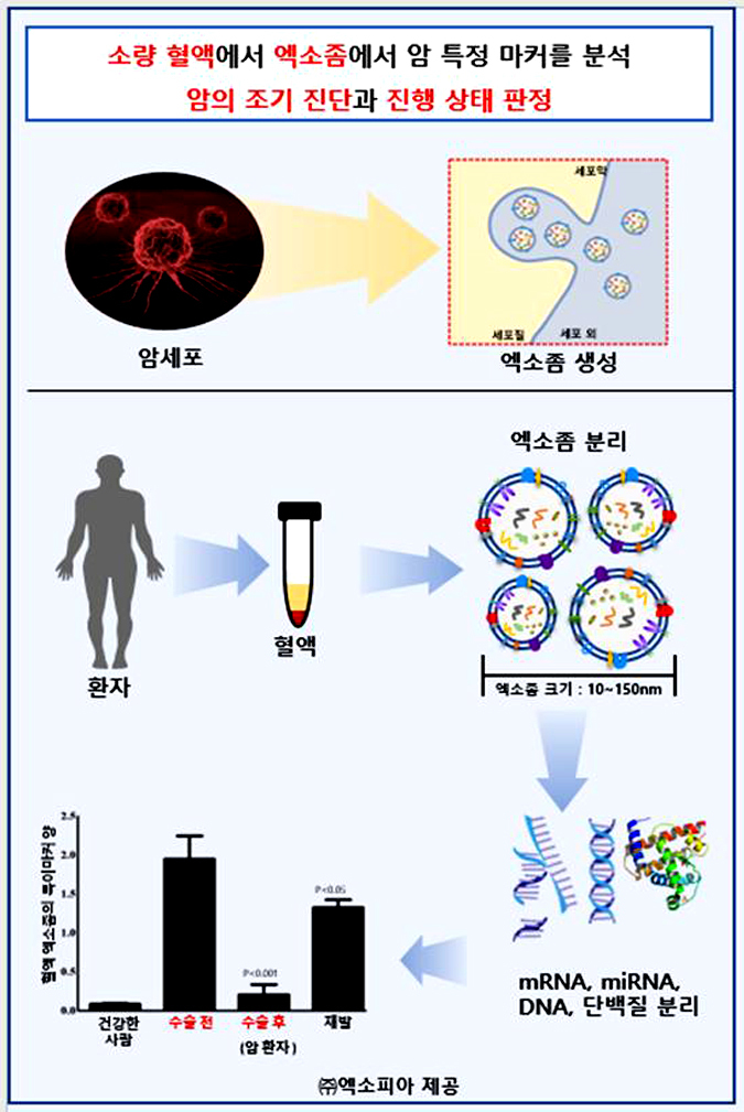 엑소좀을 활용한 암 조기진단 모식도 (그래픽=㈜엑소피아 제공) *재판매 및 DB 금지