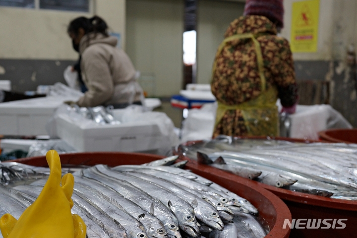 [제주=뉴시스] 제주시 수협 수산물 공판장에서 갈치 선별 작업이 이뤄지고 있다. (뉴시스DB) photo@newsis.com