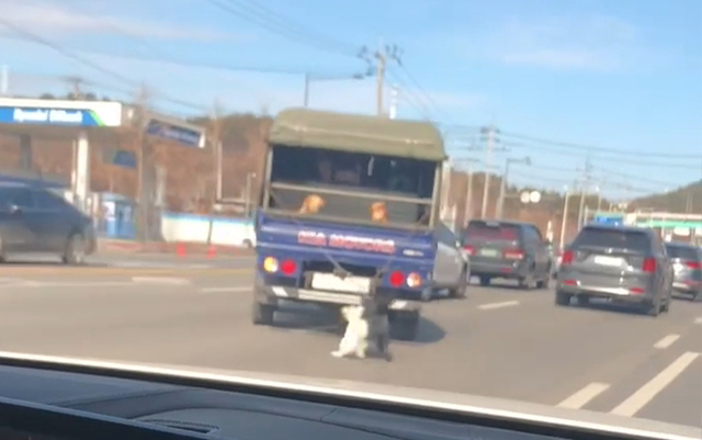 지난 15일 오후 광주광역시 북구 문흥동 인근 도로에서 강아지 2마리가 트럭에 매달려 끌려가는 모습. 출처: 네이버 카페 'BMW MANIA' 영상 캡쳐 *재판매 및 DB 금지
