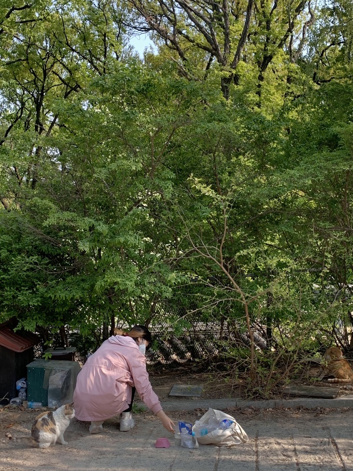 [서울=뉴시스] 수선관고양이 활동 사진. 2022.01.18. (사진= 수선관고양이 측 제공) photo@newsis.com *재판매 및 DB 금지