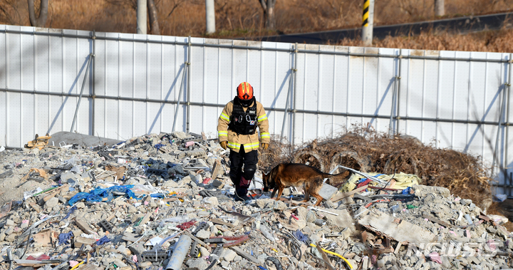 [광주=뉴시스] 류형근 기자 = 광주 서구 화정동 현대산업개발 신축 아파트 붕괴 사고 9일째인 19일 오전 소방구조대가 인명구조견을 동원해 붕괴 잔해물이 쌓여 있는 야적장에서 실종자 수색작업을 하고 있다. 2022.01.19. hgryu77@newsis.com