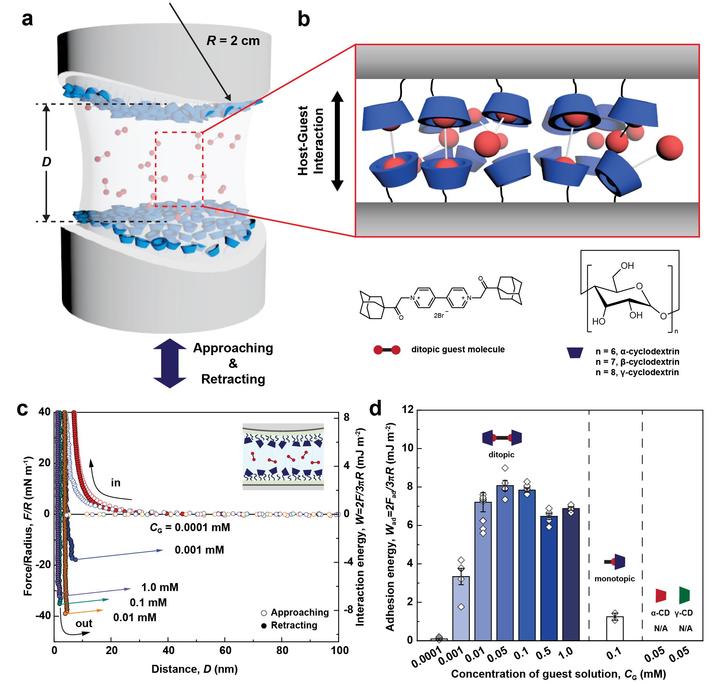 [울산=뉴시스] 구미현 기자 =&nbsp; UNIST(울산과학기술원)는 에너지화학공학과의 이동욱 교수팀이 호스트-게스트 상호작용(host-guest interaction) 접착 에너지를 실제 사용 환경과 유사한 환경에서 직접 측정할 수 있는 기법을 개발했다고 20일 밝혔다. 계면에서의 초분자복합체의 상호작용 에너지 측정 결과를 나타낸 연구그림. 2022.01.20. (UNIST 제공) photo@newsis.com *재판매 및 DB 금지