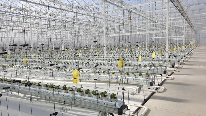 [안동=뉴시스] 스마트팜 내부. (사진=경북도 제공) 2022.07.31 *재판매 및 DB 금지