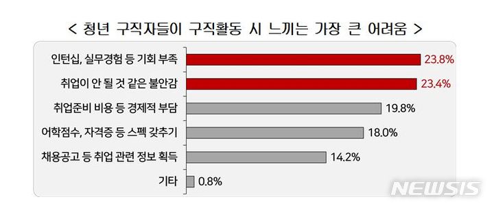 "청년구직자 취업 희망분야는 공사·공무원 37%, 대기업 17%"