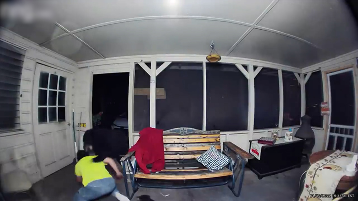 플로리다 한 해변 주택에 곰이 나타나 반려견들을 공격했다. 출처:유튜브 ViralHog *재판매 및 DB 금지