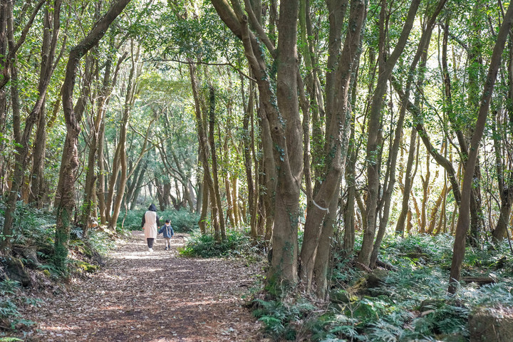 [서울=뉴시스]제주 청수마을 (사진 = 한국관광공사) 2022.1.25. photo@newsis.com *재판매 및 DB 금지