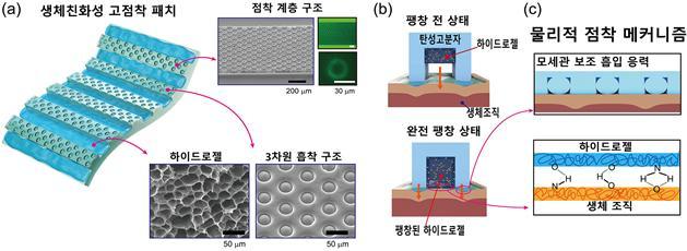 [대전=뉴시스] 생체친화성 전자패치 개념도. *재판매 및 DB 금지