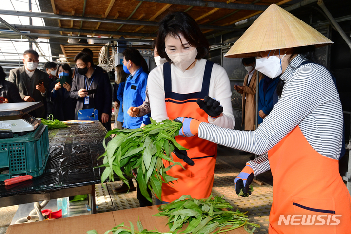 [사천=뉴시스] 차용현 기자 = 더불어민주당 이재명 대선후보 부인 김혜경씨가 26일 오후 경남 사천시 사남면 인근 한 아열대 채소농장을 찾아 자신이 수확한 채소를 포장하고 있다. 2022.01.26. con@newsis.com