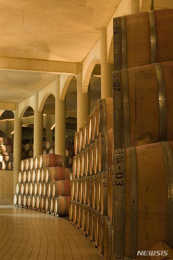 [와인이야기]역사는 새벽에 이뤄진다 '알비스'