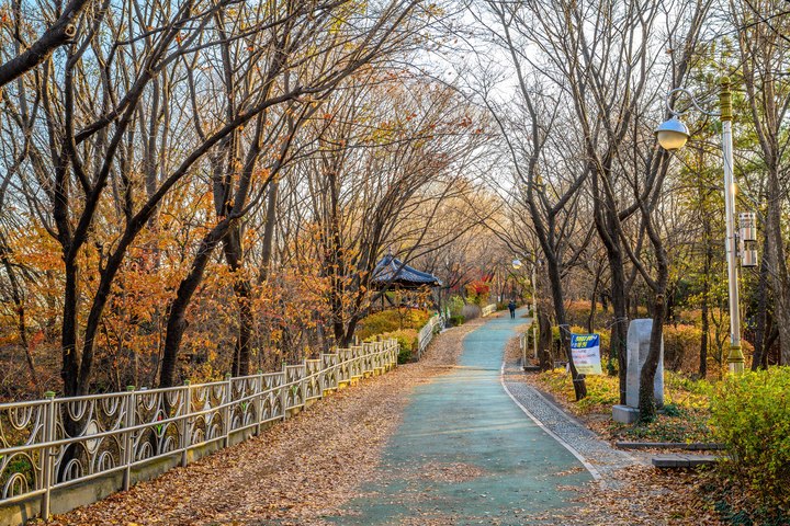 [서울=뉴시스]개운산 (사진 = 서울관광재단) 2022.1.28. photo@newsis.com *재판매 및 DB 금지