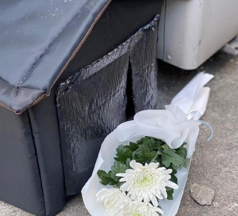 살해된 고양이가 살던 집 앞에 놓인 추모의 국화꽃. (사진=카라 홈페이지 캡처) *재판매 및 DB 금지