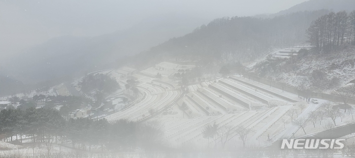 [청주=뉴시스] 조성현 기자 = 설 당일인 1일 오전 충북 청주시 상당구 월오동 목련공원에 눈이 내리고 있다. 2022.02.01. jsh0128@newsis.com 