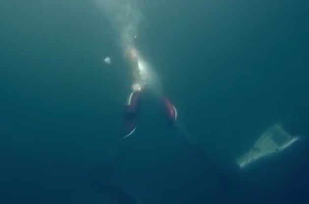 [서울=뉴시스] 2일 국영 중국중앙(CC) TV 방송을 캡쳐한 사진으로, 베이징 동계올림픽공원에서 2대의 특수제작 로봇이 수중 봉송을 진행 중인 모습. <사진출처: CCTV 캡쳐> 2022.02.02