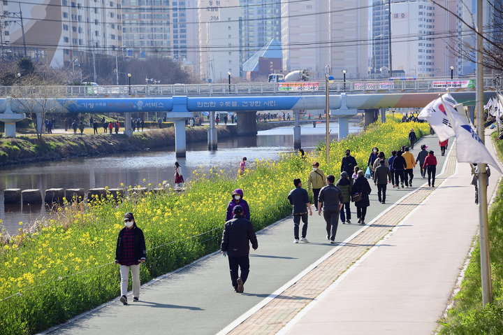 부산 동래구 온천천 (사진=동래구청 제공) *재판매 및 DB 금지