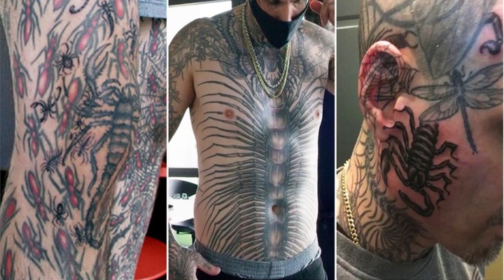 [서울=뉴시스] 세계에서 가장 많은 벌레 문신을 한 사람으로 기네스북에 오른 미국 뉴욕주의 마이클 아모이아 모습. (출처 : 기네스북 세계 기록 홈페이지 갈무리) 2022.02.03. *재판매 및 DB 금지