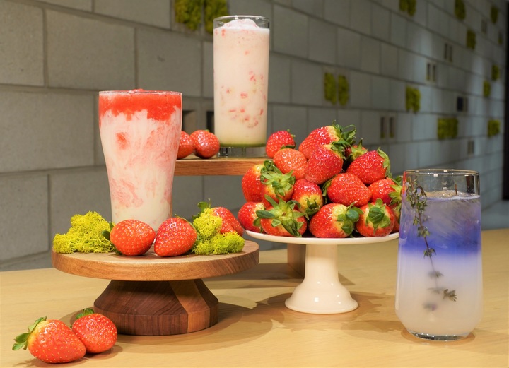 스타벅스 봄 음료 신메뉴 3종 *재판매 및 DB 금지