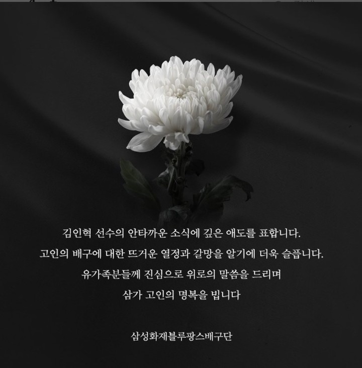 사진=삼성화재 블루팡스 인스타그램 캡처 *재판매 및 DB 금지