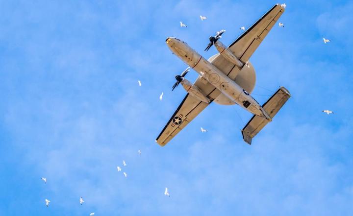 [서울=뉴시스] 지난해 4월9일 미국 캘리포니아 해군기지 포인트 무구에 접근 중인 항공기 주변에 새 떼가 나타나 에워싸고 있다. (출처 : 트위터 갈무리) 2022.02.07. *재판매 및 DB 금지