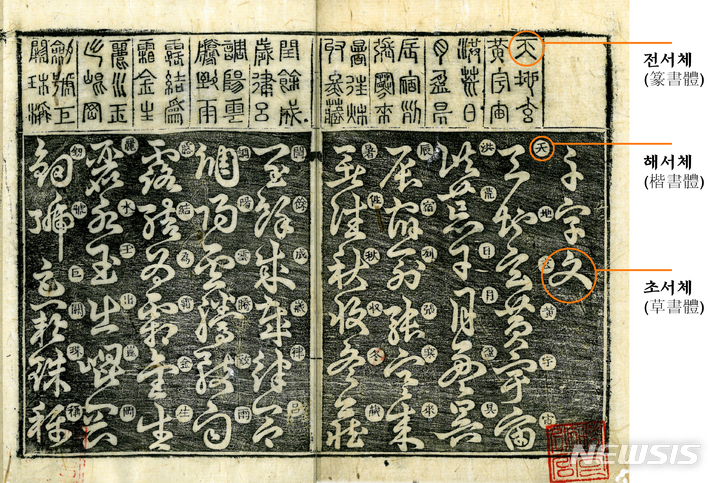 [전주=뉴시스]윤난슬 기자 = 완판본문화관은 학술사업의 네 번째 결과물 '초천자문(草千字文)' 영인본을 발간했다고 8일 밝혔다. 사진은 초천자문 본문 구성 모습.(사진=완판본문화관 제공) 