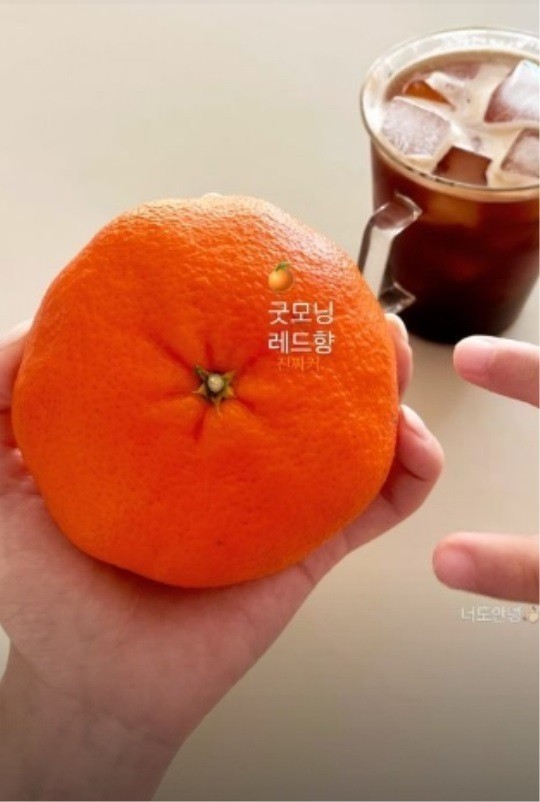 [서울=뉴시스] 우나리 인스타 2022.02.09. (사진= 우나리 인스타그램 제공) photo@newsis.com *재판매 및 DB 금지 *재판매 및 DB 금지