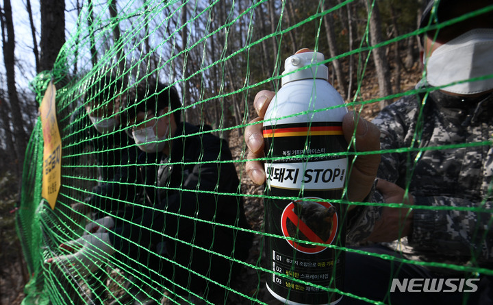 야생멧돼지 추가 유입을 차단하기 위해 그물망을 설치하고, 멧돼지 기피제 살포작업을 하고 있다. 뉴시스DB