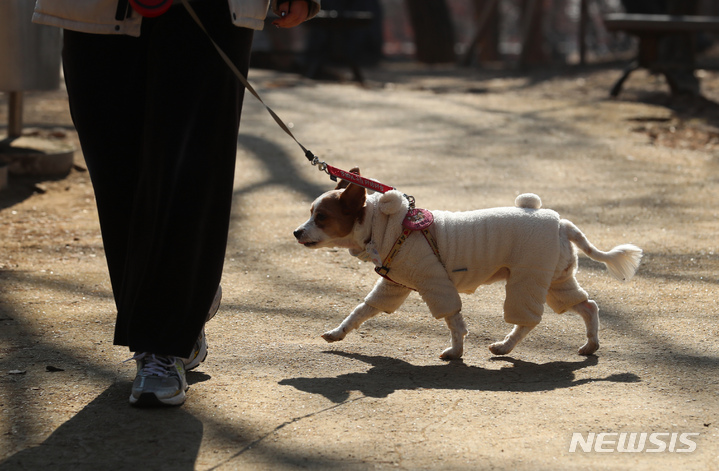 주인과 함께 공원을 산책하고 있는 반려견. (사진=뉴시스DB) photo@newsis.com
