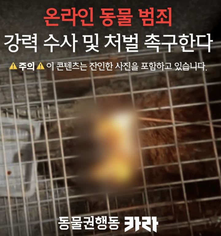 [서울=뉴시스] 동물권단체 '카라'가 페이스북 페이지에 게시한 고양이 학대 사진. <페이스북 페이지 캡처> 2022.02.11. photo@newsis.com *재판매 및 DB 금지
