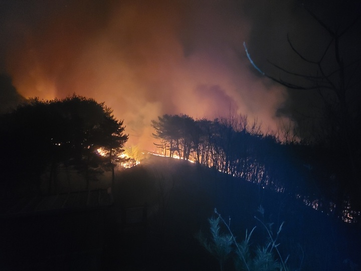 [안동=뉴시스] 경북 영덕군 구미리에서 16일 새벽 타고 있는 산불. (사진=산림청 제공) 2022.02.16  *재판매 및 DB 금지