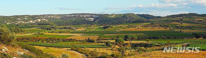 [와인이야기]자전거 탄 숙녀에게 경의를…벨로 드무아젤