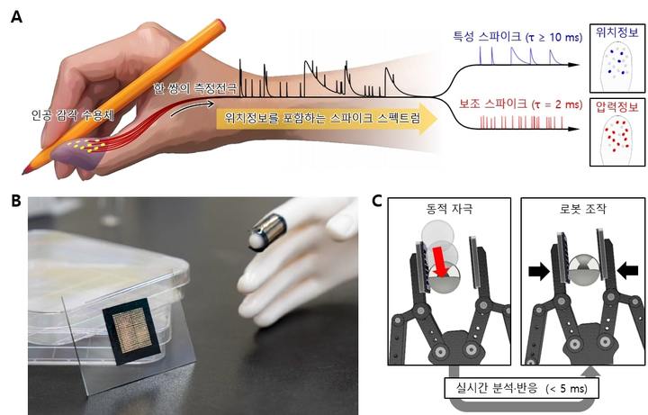 [포항=뉴시스] 강진구 기자 = 포스텍(총장 김무환)은 신소재공학과 정운룡 교수·통합과정 김태영 씨 연구팀이 UNIST(총장 이용훈) 바이오메디컬공학과 김성필 교수·통합과정 김재훈 씨 연구팀과 공동연구를 통해 사람의 피부처럼 바로 감각을 느낄 수 있는 전자 피부를 개발했다고 17일 밝혔다.연구 관련 그림.(사진=포스텍 제공) 2022.02.17.photo@newsis.com *재판매 및 DB 금지