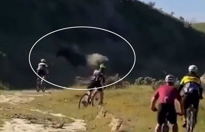 지난 12일(현지시각) 미국 캘리포니아주 베이커스필드에서 열린 산악자전거대회에서 참가자가 소에 들이받히는 장면.영상: 트위터 @RemkoRinkema *재판매 및 DB 금지